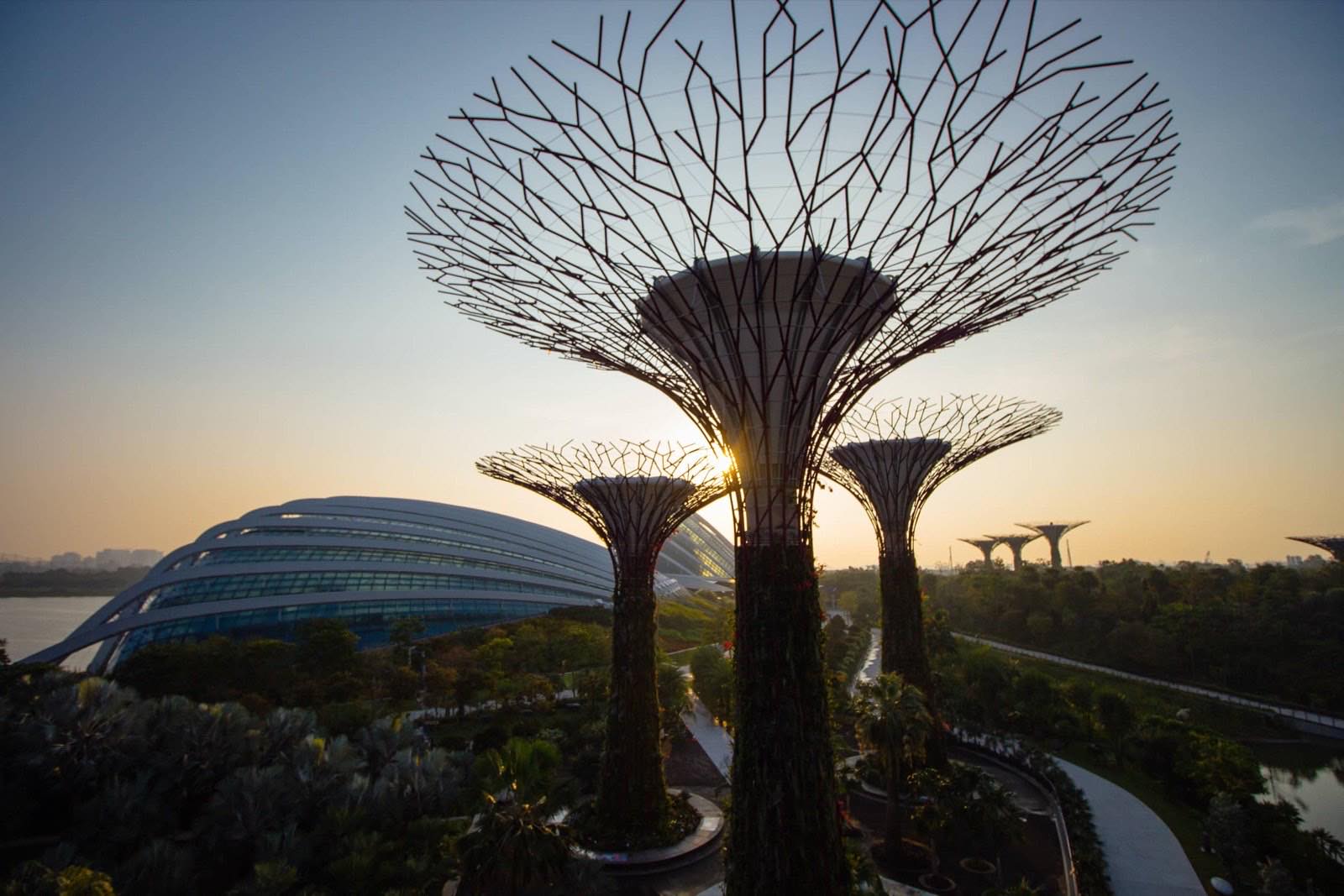 The Supertree Grove at Gardens by the Bay, Singapore, at dusk