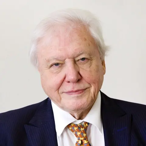 Portrait of Sir David Attenborough